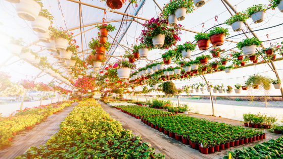 6 Michiana Nurseries for Your Planting Needs | Cressy & Everett